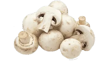 mushrooms